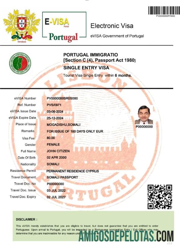 Visto Eletrónico de Portugal exemplo